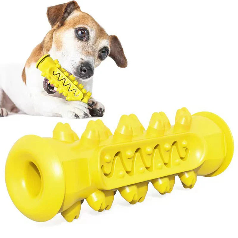 Chew-Resistant Rubber Dog Toy for Dental Health - BIG FRENCHIES