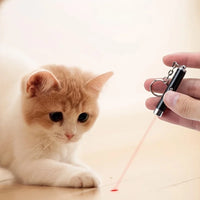 Cat Laser Pointer Toy – Interactive, Safe & Fun Play for Cats - BIG FRENCHIES