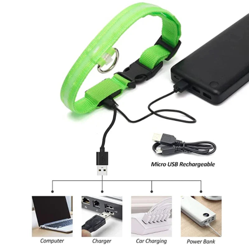 LED Pet Dog Collar for Night Safety | Bright USB Rechargeable - BIG FRENCHIES