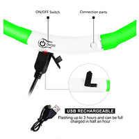 LED Pet Dog Collar for Night Safety | Bright USB Rechargeable - BIG FRENCHIES