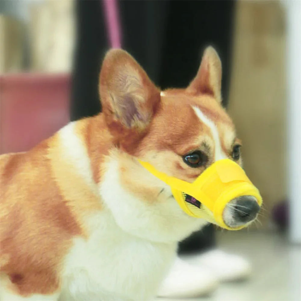 Adjustable Mesh Dog Muzzle – Anti-Barking & Anti-Biting Breathable Mouth Cover for Small & Medium Dogs - BIG FRENCHIES