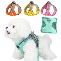Adjustable Dog Harness & Leash Set for Small Dogs – Comfortable & Safe Walking Gear - BIG FRENCHIES