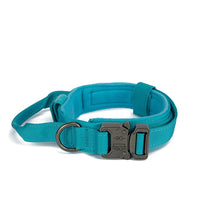 Durable Nylon Dog Collar with Reflective Leash Set - BIG FRENCHIES