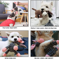 Squeaky Dog Toy – Durable Chew & Molar Toy for Small & Large Dogs - BIG FRENCHIES