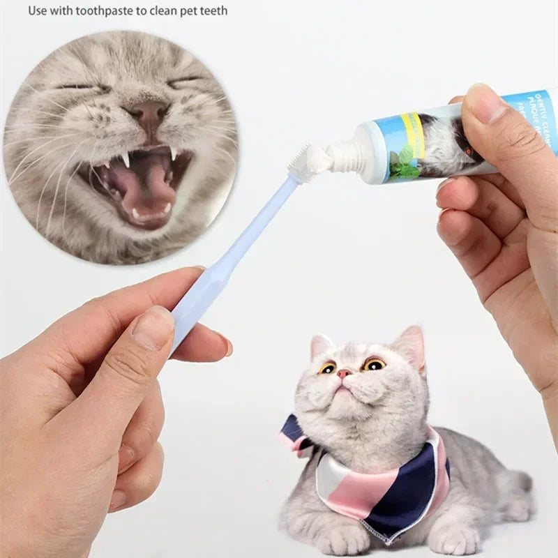 Complete Pet Toothbrush And Toothpaste Kit - BIG FRENCHIES