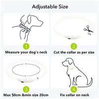LED Pet Dog Collar for Night Safety | Bright USB Rechargeable - BIG FRENCHIES