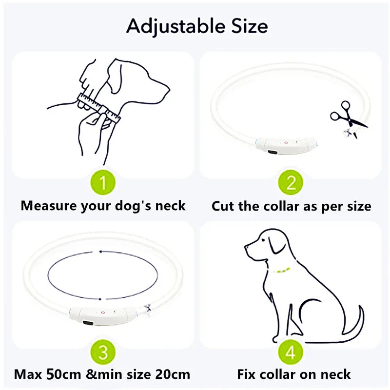 LED Pet Dog Collar for Night Safety | Bright USB Rechargeable - BIG FRENCHIES