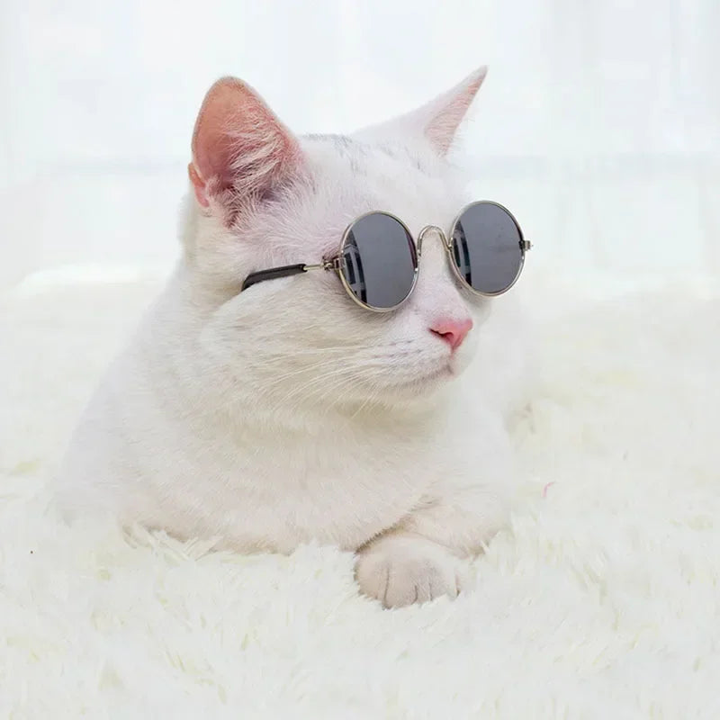 Cat & Dog Sunglasses – UV Protection Pet Photo Props - BIG FRENCHIES