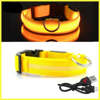 LED Pet Dog Collar for Night Safety | Bright USB Rechargeable - BIG FRENCHIES