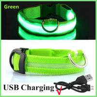 LED Pet Dog Collar for Night Safety | Bright USB Rechargeable - BIG FRENCHIES
