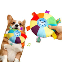 Rainbow Plush Flying Saucer Dog Toy – Interactive Chew & Training Disc - BIG FRENCHIES