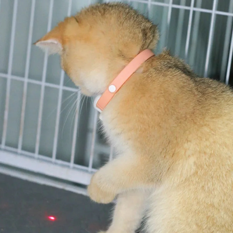 Smart Laser Cat Teaser Collar – Rechargeable Infrared Interactive Toy - BIG FRENCHIES