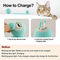 Smart Interactive Pet Car Toy – Remote Moving Toy for Cats & Dogs - BIG FRENCHIES