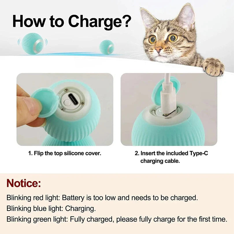 Smart Interactive Pet Car Toy – Remote Moving Toy for Cats & Dogs - BIG FRENCHIES
