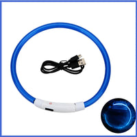 LED Pet Dog Collar for Night Safety | Bright USB Rechargeable - BIG FRENCHIES