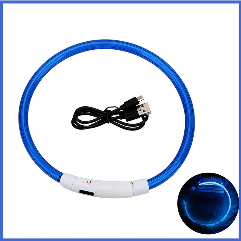 LED Pet Dog Collar for Night Safety | Bright USB Rechargeable - BIG FRENCHIES