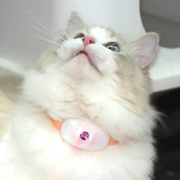 Smart Laser Cat Teaser Collar – Rechargeable Infrared Interactive Toy - BIG FRENCHIES