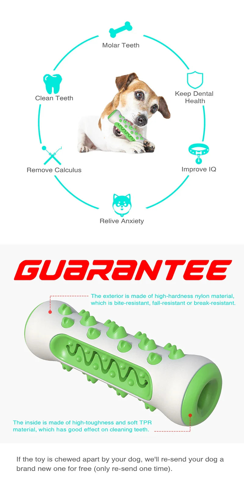 Chew-Resistant Rubber Dog Toy for Dental Health - BIG FRENCHIES