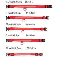 LED Pet Dog Collar for Night Safety | Bright USB Rechargeable - BIG FRENCHIES