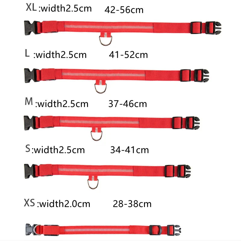 LED Pet Dog Collar for Night Safety | Bright USB Rechargeable - BIG FRENCHIES