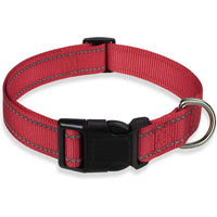 Reflective Adjustable Nylon Dog Collar Strap – Safety Traction Rope - BIG FRENCHIES