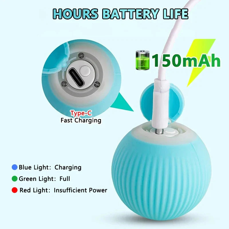 Smart Cat Toy Ball: Auto-Rolling for Active Play - BIG FRENCHIES