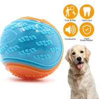 6Pcs Squeaky Dog Balls – Interactive Chew Toys for Dogs - BIG FRENCHIES