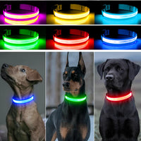 LED Pet Dog Collar for Night Safety | Bright USB Rechargeable - BIG FRENCHIES