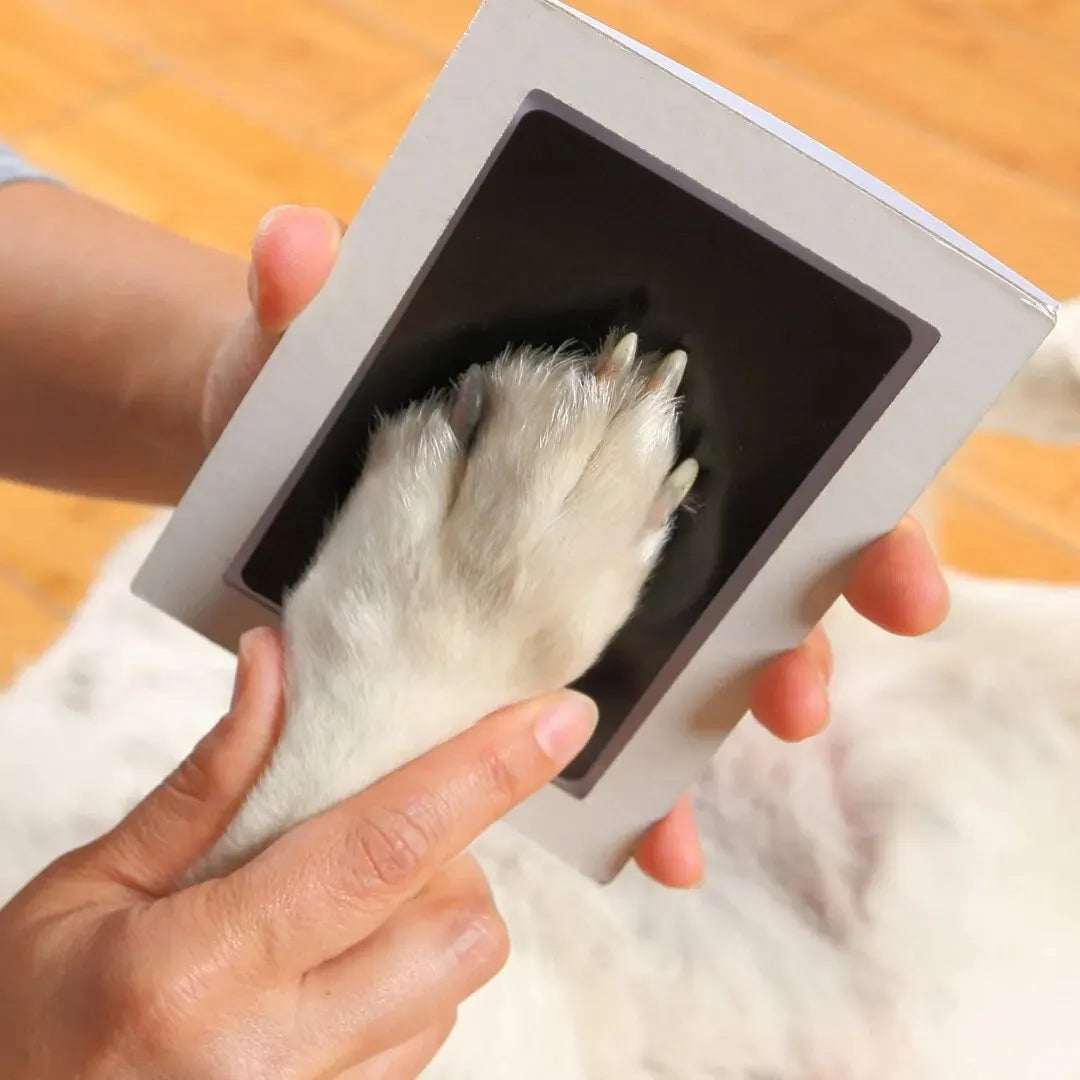 Paw Print Clean Touch Ink Pad – Inkless Pet Paw & Nose Print Keepsake Kit for Dogs & Cats - BIG FRENCHIES