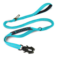 Reflective Shock Absorbing Bungee Dog Leash with Seatbelt Clip - BIG FRENCHIES