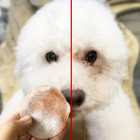 Gentle Pet Eye Wipes for Tear Stains 130 Pcs - BIG FRENCHIES