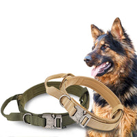 Durable Nylon Dog Collar with Reflective Leash Set - BIG FRENCHIES