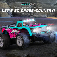 ZWN 1:16/1:20 RC Car 2WD Off-Road Remote Control Car with LED Light - BIG FRENCHIES
