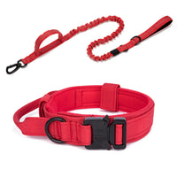 Durable Nylon Dog Collar with Reflective Leash Set - BIG FRENCHIES