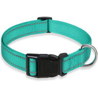 Reflective Adjustable Nylon Dog Collar Strap – Safety Traction Rope - BIG FRENCHIES