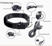 LED Pet Dog Collar for Night Safety | Bright USB Rechargeable - BIG FRENCHIES
