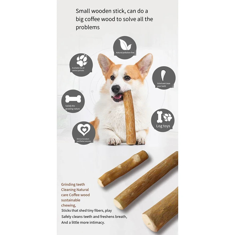 Coffee Wooden Dog Chew Stick – Tooth Pressure Relief Toy - BIG FRENCHIES