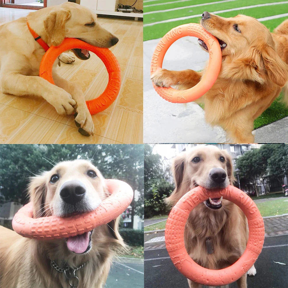 Durable Dog Ring Toy – Indestructible Flying & Chewing Training Toy-Pet Toys-BIG FRENCHIES-Econic Blanks