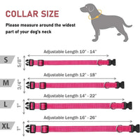Reflective Adjustable Nylon Dog Collar Strap – Safety Traction Rope - BIG FRENCHIES
