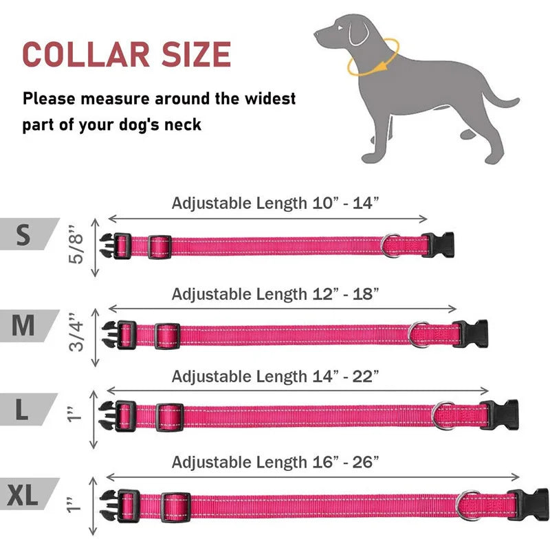 Reflective Adjustable Nylon Dog Collar Strap – Safety Traction Rope - BIG FRENCHIES