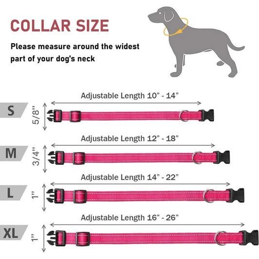 Reflective Adjustable Nylon Dog Collar Strap – Safety Traction Rope - BIG FRENCHIES