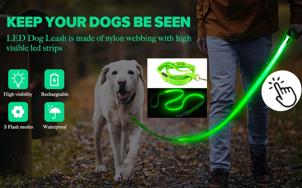 LED Pet Dog Collar for Night Safety | Bright USB Rechargeable - BIG FRENCHIES