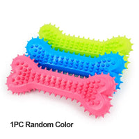 Durable Rubber Bone Chew Toys for Puppies and Teething - BIG FRENCHIES