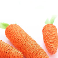 Sound Carrot Cat Toy | Teething & Anti-Bite Cuddle Stick for Cats - BIG FRENCHIES