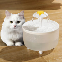 Electric Pet Water Fountain | Fresh Water for Healthy Pets - BIG FRENCHIES