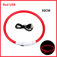 LED Pet Dog Collar for Night Safety | Bright USB Rechargeable - BIG FRENCHIES