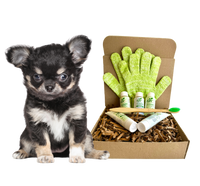4-FURRY DOGS *SENSITIVE GROOMING KIT