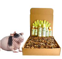 4-HAIRLESS PETS *SKINNYPIG REGULAR KIT