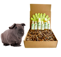 4-HAIRLESS PETS *SKINNYPIG SENSITIVE KIT
