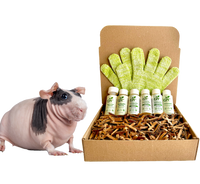 4-HAIRLESS PETS *SKINNYPIG REGULAR KIT